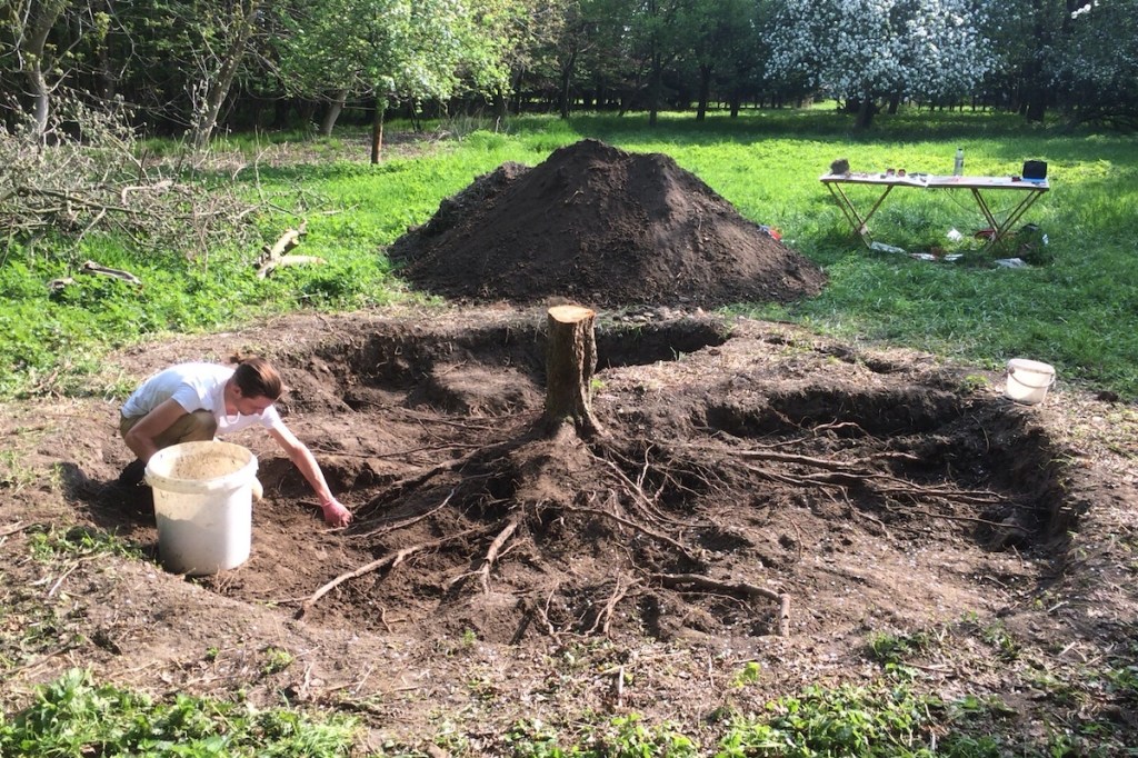 following roots underground