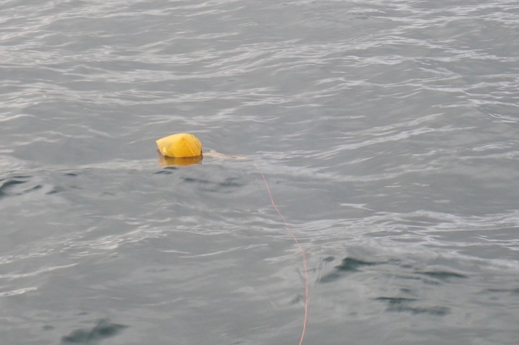 Exploring open ocean