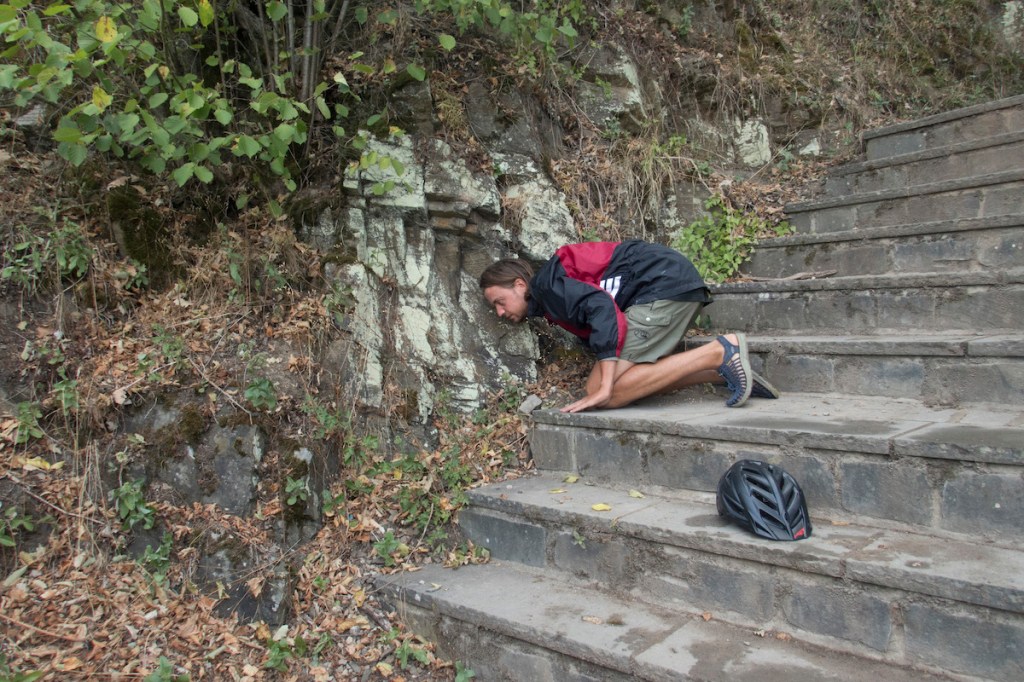 Exploring the river Rhine from source to sea.