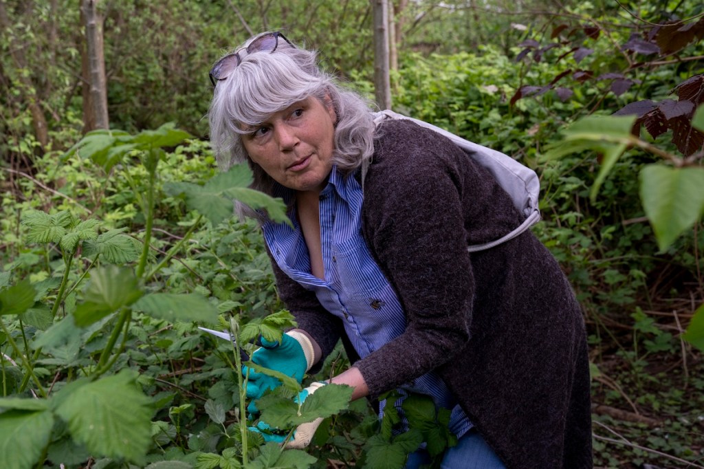 a two-day festival to celebrate spring in the city.