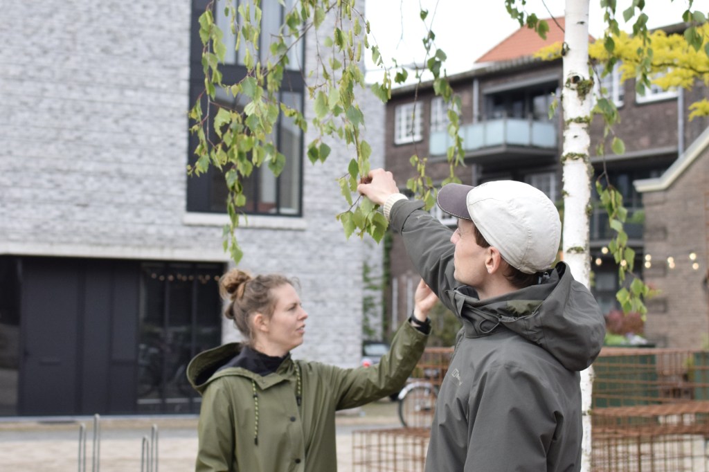 investigating new growth in the urban forest of Eindhoven