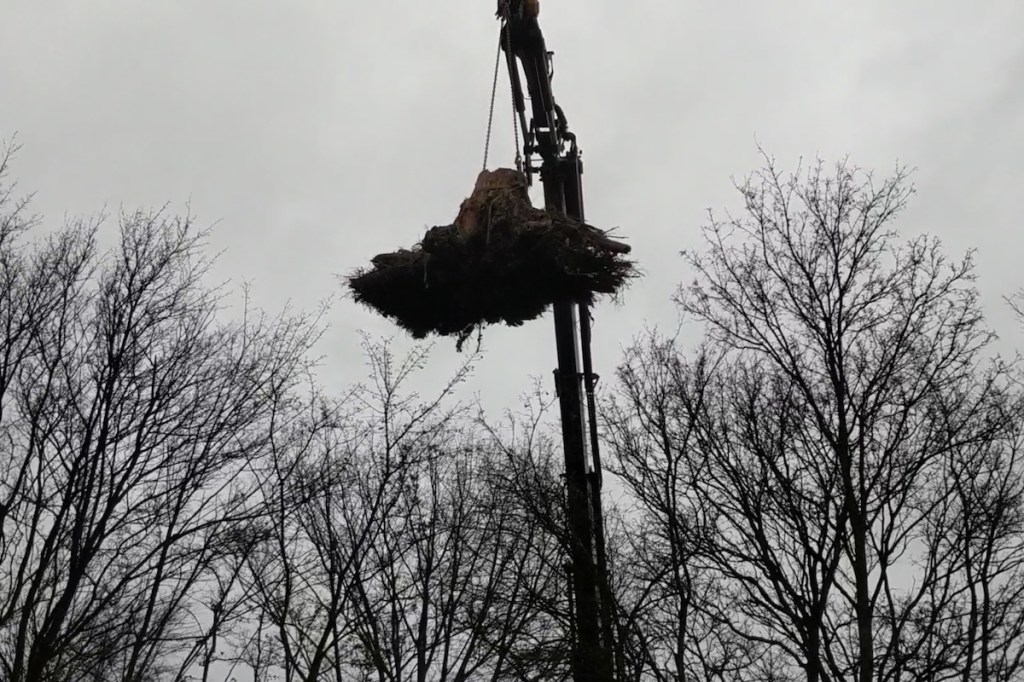 You Can’t Trust Music by e-flux